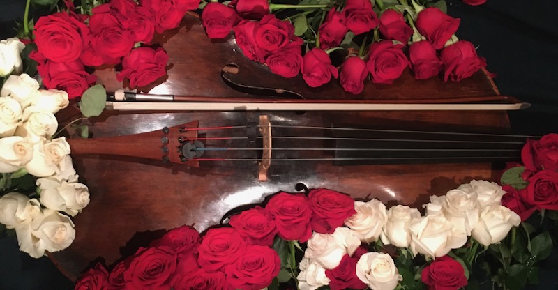 Lorenzo with roses