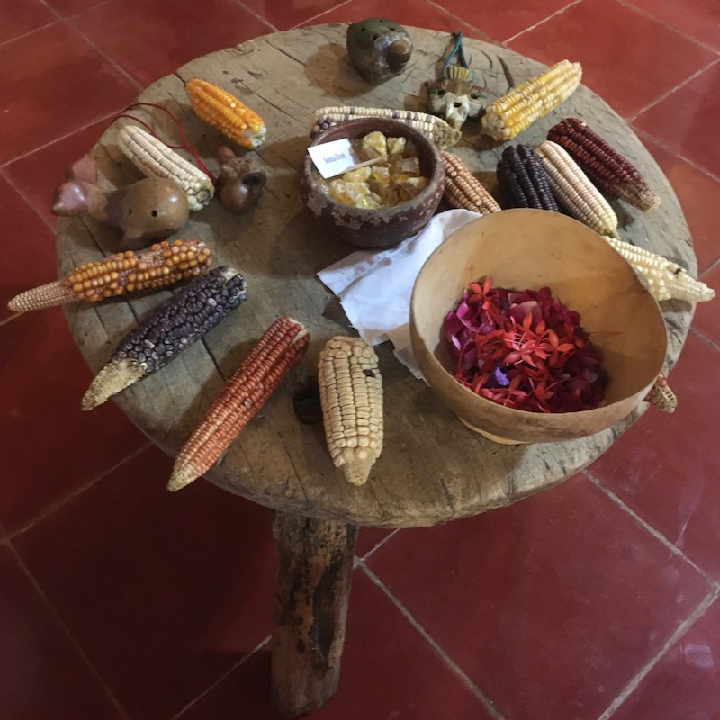 ceremonial plants and instruments